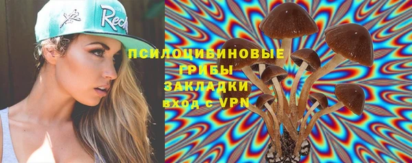 дмт Алексеевка