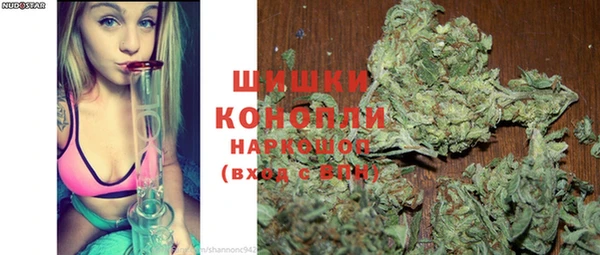 ГАЛЛЮЦИНОГЕННЫЕ ГРИБЫ Надым