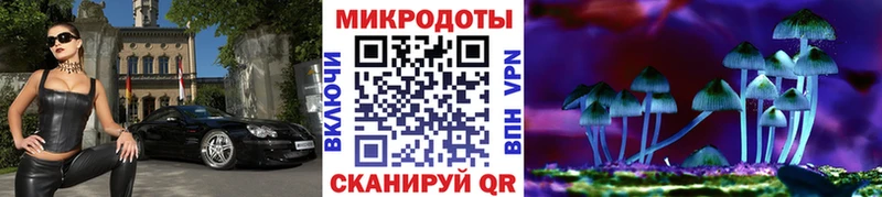 нарко площадка официальный сайт Тейково Псилоцибиновые грибы Psilocybine cubensis купить наркотики сайты
